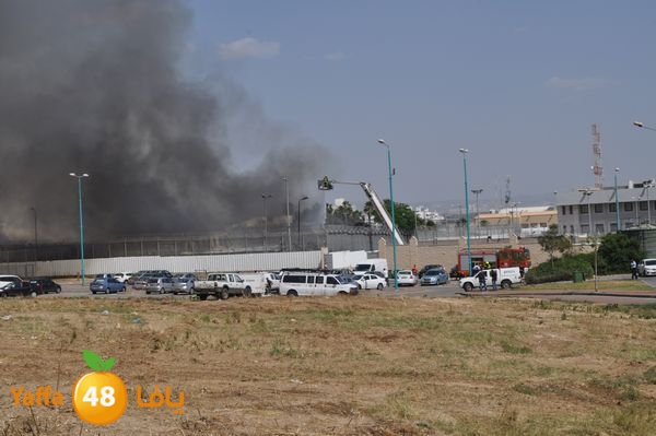 fireramlasejn4288 (36).JPG